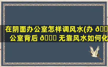 在阴面办公室怎样调风水(办 🐼 公室背后 🐅 无靠风水如何化解)